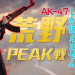 【荒野行動】AK縛りin荒野Peak戦Day11 Ep.V6解散するらしい　かっこいいおじさまのイメージ #参加型ルーム  #ゲーム実況 #ライブ #参加型