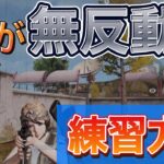 【荒野行動】皇帝さんもやってる！ARが無反動になる練習方法教えます。