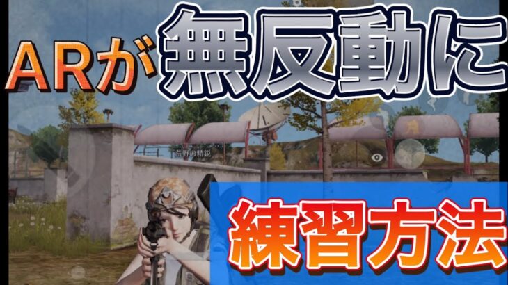 【荒野行動】皇帝さんもやってる！ARが無反動になる練習方法教えます。