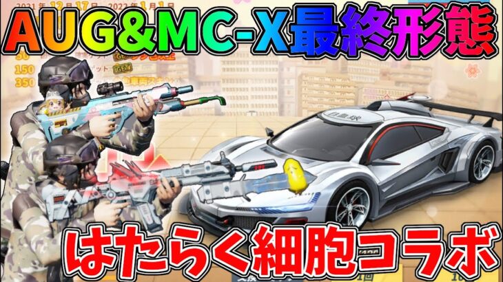 はたらく細胞コラボガチャをぶん回してAUGとMC-Xを最終形態にしてみたｗｗ【荒野行動】#809 Knives Out