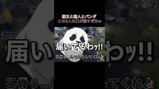 🔺【呪術廻戦】ハイートン乙骨と建人とパンダの口が悪すぎたWWW @shorts