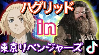 【声真似】ハグリッドが東リベの世界にタイムリープする話【1話】【ハグリベ】