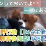 5月10日（火）夜Ver【荒野行動/視聴者参加型LIVE配信】DoA主催ですよー(^^)