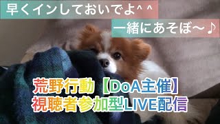 5月10日（火）夜Ver【荒野行動/視聴者参加型LIVE配信】DoA主催ですよー(^^)