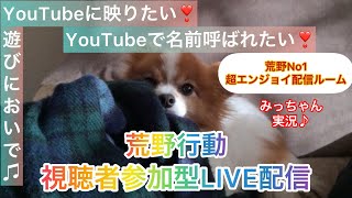 6/10（金）夜Ver【荒野行動/視聴者参加型LIVE配信】みっちゃん実況(^^)