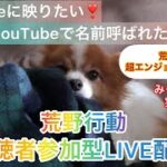 6/1（水）夜Ver【荒野行動/視聴者参加型LIVE配信】みっちゃん実況(^^)