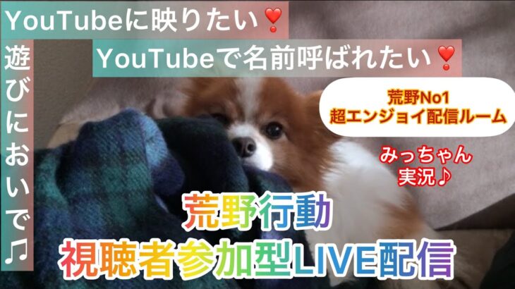 6/7（火）夜Ver【荒野行動/視聴者参加型LIVE配信】みっちゃん実況(^^)