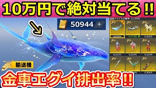 【荒野行動】衝撃の結果！輸送機クジラ狙いで10万円も引いたら流石に当たるはず！過去最高に金車が当たる天下ガチャ！特別先行ガチャ・日本の開催未定（バーチャルYouTuber）