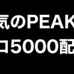 PEAKソロ5000本気のスキンヘッ道【荒野行動】