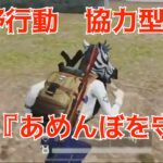 荒野行動　ライブ配信　あめんぼを守れ！！　初見さん参加大歓迎