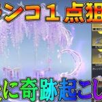 最後のチャンス！藤の花ブランコ１点狙いで最後に奇跡を起こしたい・・【荒野行動】#936 Knives Out