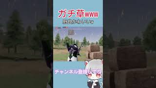 野良がかわいいWWWWW【荒野行動】