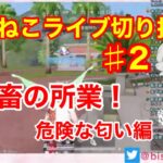 ps4荒野行動　くまねこライブ切り抜き２　鬼畜の所業