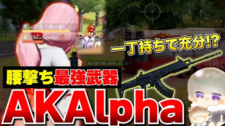 【神武器】AKアルファがヤバいらしいので一丁持ちしたら腰撃ち最強すぎたwww【荒野行動】