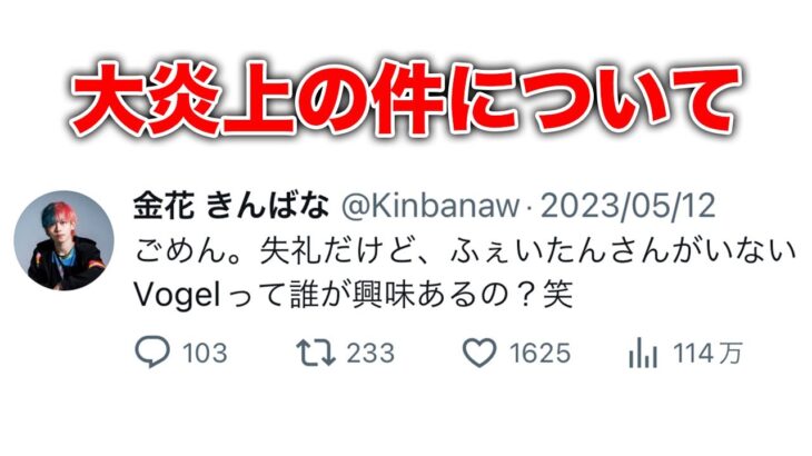 αDVogelの件で大炎上した事について。【荒野行動】