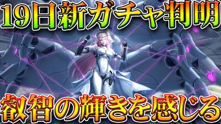 【荒野行動】１９日実装新ガチャ金枠判明！「めっちゃいい」→腰マントはずさせてくれ！無料無課金ガチャリセマラプロ解説。こうやこうど拡散のため👍お願いします【アプデ最新情報攻略まとめ】