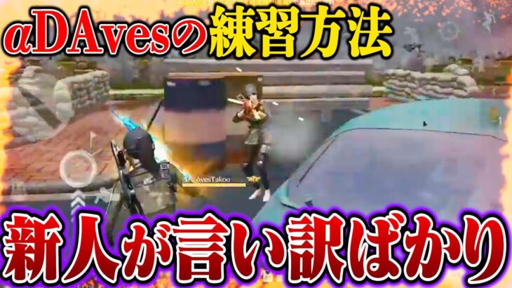 大会の間に練習してたら、Avesの新人君が言い訳ばかりで話が通じない人だった。【荒野行動】