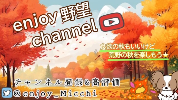 10/10（火）夜Ver.【荒野行動/視聴者参加型LIVE配信】みっちゃん実況(*^^)v 24時からは無言配信やる時がありますw※概要欄必読してから遊びにきてね♪