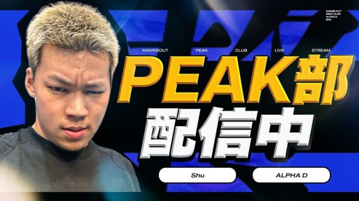 【縦配信】PEAK部inドイツ【荒野行動】