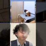 🐈vs📦Subscribe thank you❤️🤣🤣🤣【荒野の光】荒野行動 #荒野の光 #memes #funny #shorts #cat