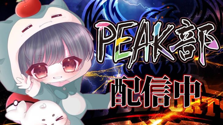 【荒野行動】Peak部Withおしりん