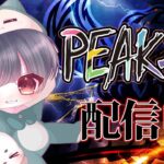 【荒野行動】Peak部フルパ