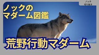 【ノック察し】その場しのぎの嘘をつく荒野行動マダーム