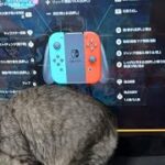 Switch版荒野行動ライブそうま（息子）と無課金で無双する