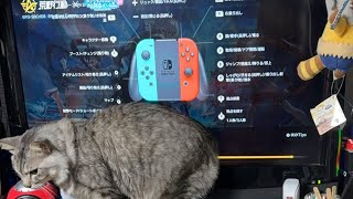 Switch版荒野行動ライブそうま（息子）と無課金で無双する