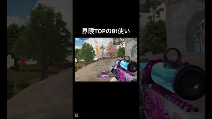 敵可哀想 #荒野行動 #81式