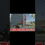 【荒野行動】ゴースティングを神グレで成敗したwww