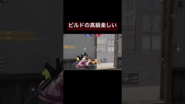 ビルドの高級って味方次第らしい？！1人で暴れたら良いんよっ！！#荒野行動