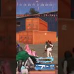 【荒野行動】戦闘中にBGMを付けてみた。ワイルドシリーズ。