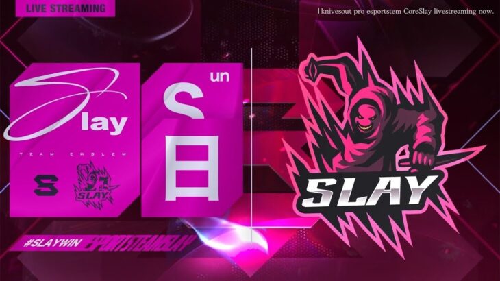 【荒野行動】ぱぴこ視点【Slay / ゴルタイ】