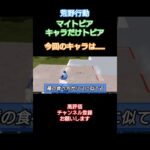 #荒野行動 #ハム太郎とっとこうた#マイトピア#キャラだけトピア#高評価とチャンネル登録よろしくお願いします