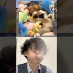 🤫vs🤣Subscribe thank you❤️🤣🤣🤣【荒野の光】荒野行動 #荒野の光 #memes #funny #shorts
