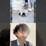 🤫vs🤣Subscribe thank you❤️🤣🤣🤣【荒野の光】荒野行動 #荒野の光 #memes #funny #shorts