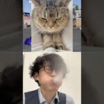 🤫vs🤣Subscribe thank you❤️🤣🤣🤣【荒野の光】荒野行動 #荒野の光 #memes #funny #shorts