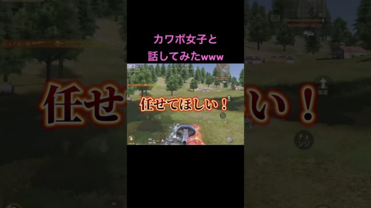 荒野してたらカワボ女子と遭遇したw #荒野行動 #shorts