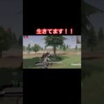 24で倒せた時の気持ちさ半端じゃねえぞっ！！#荒野行動 #魅せ砂