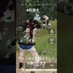 荒野行動4枚抜き【荒野の光】