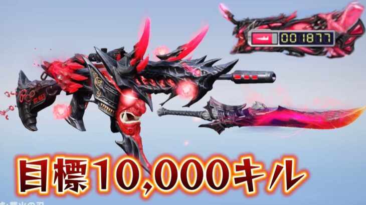 【荒野行動】殿堂81で1万キル目指す配信！！！！【本気のソロクイン】