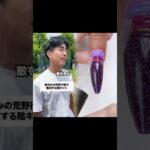 無双しすぎやろ！#荒野行動 #Epicoll#prismlivestudio