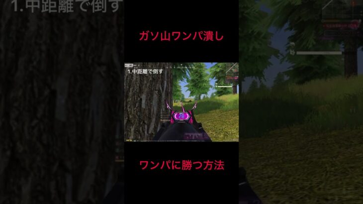 ［荒野行動］ガソ山でワンパに勝つ方法　#荒野行動　#アズラーイール　#M4A4#M16 #すきです