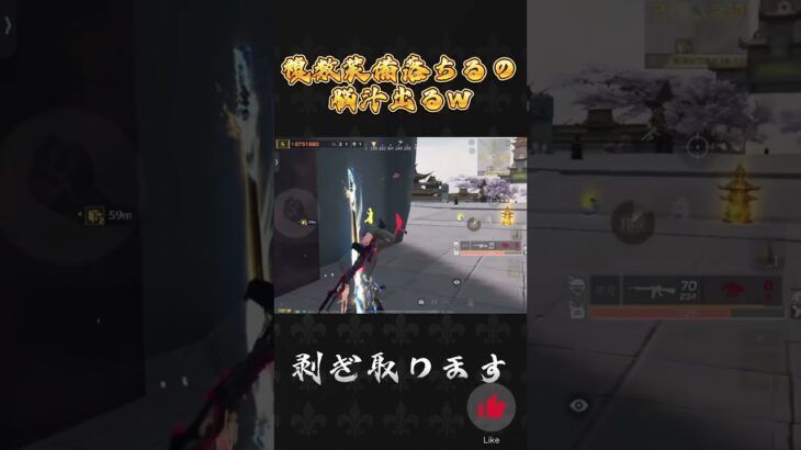 複数装備落ちるのあち〜#荒野行動 #knivesout #ペニンシュラ大脱走