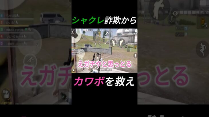 シャクレ詐欺からカワボを救う。#shorts #荒野行動 #ゲーム実況