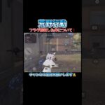 【荒野行動】フラグ回収からのワンパ潰しした件について！#shorts #荒野行動 #キル集