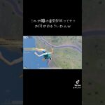 着陸即死 #荒野行動