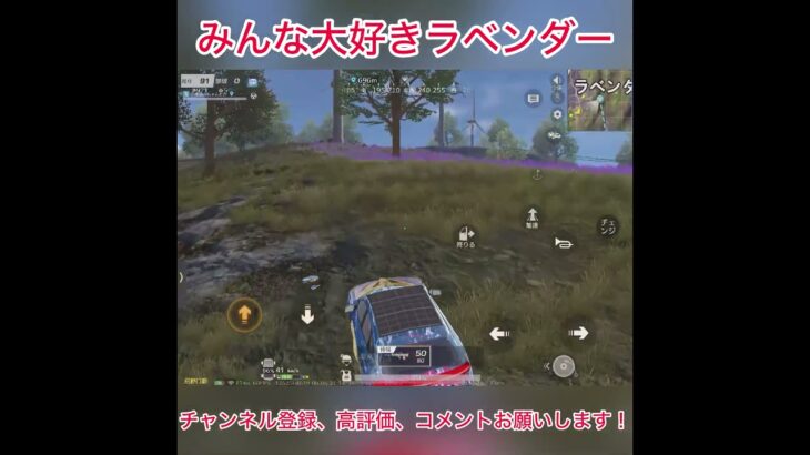 【荒野行動】みんな大好きラベンダー #荒野行動  #葬送のフリーレン #荒野フリーレンコラボ #荒野フリーレンで３５連