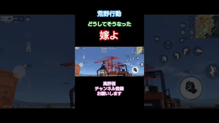 #荒野行動※嫁…ダイブ下手#高評価とチャンネル登録よろしくお願いします